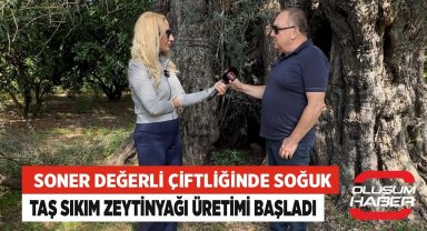 İş insanı Soner Değerli Çiftliğinde Soğuk Taş Sıkım Zeytinyağı Üretimi Başladı